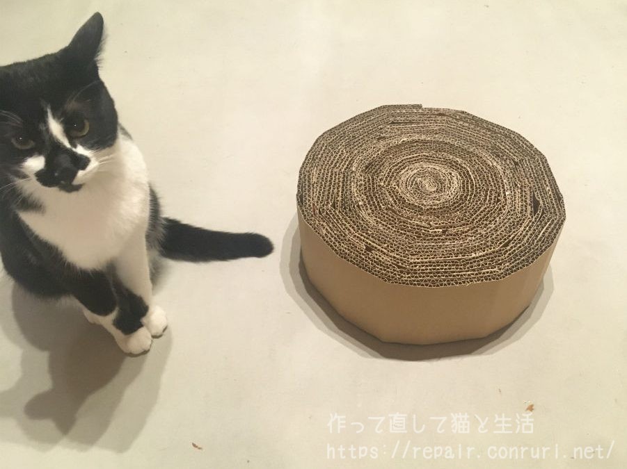爪とぎと猫1