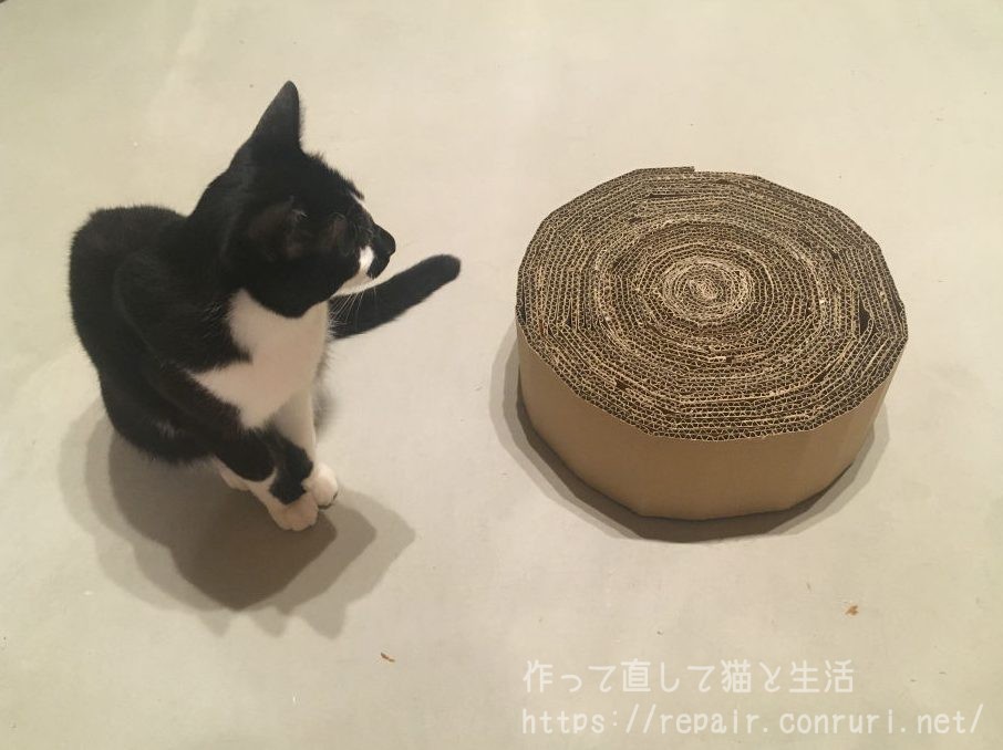 爪とぎと猫2