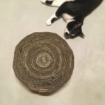 爪とぎと猫４