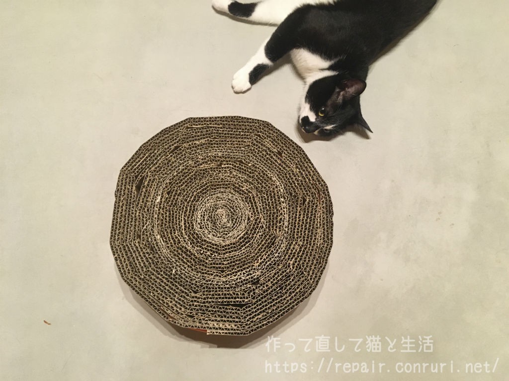 爪とぎと猫4
